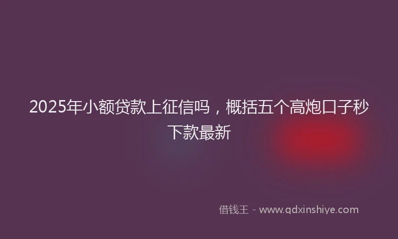 2025年小额贷款上征信吗，概括五个高炮口子秒下款最新