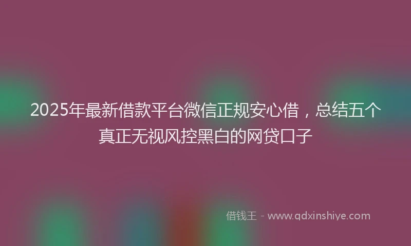 2025年最新借款平台微信正规安心借，总结五个真正无视风控黑白的网贷口子