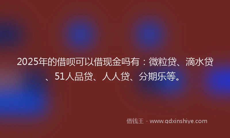 2025年的借呗可以借现金吗有：微粒贷、滴水贷、51人品贷、人人贷、分期乐等。