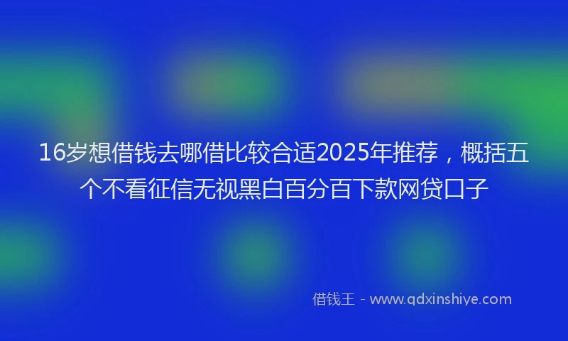 16岁想借钱去哪借比较合适2025年推荐，概括五个不看征信无视黑白百分百下款网贷口子