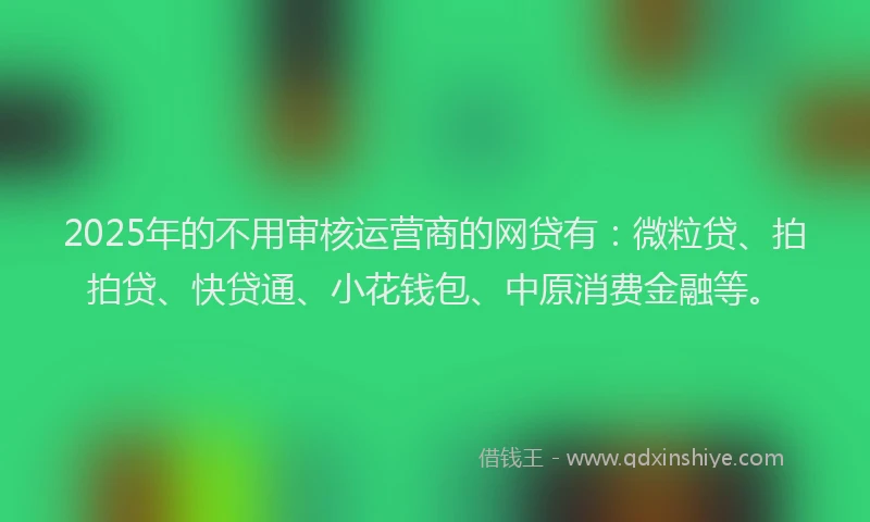 2025年的不用审核运营商的网贷有：微粒贷、拍拍贷、快贷通、小花钱包、中原消费金融等。
