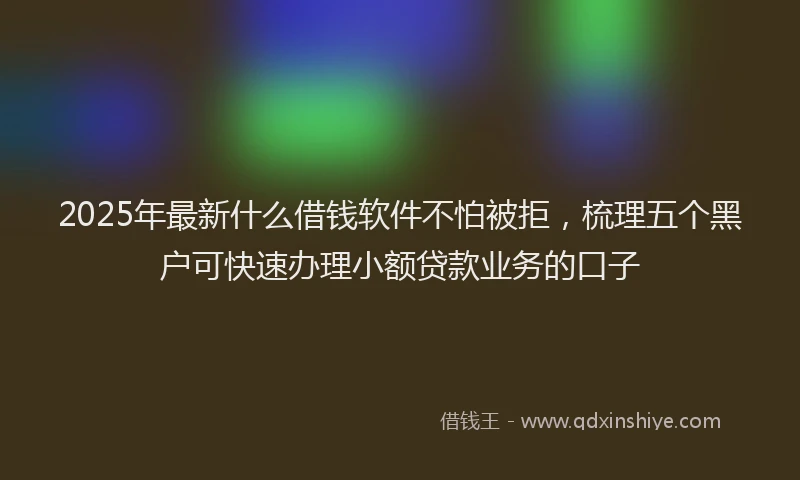 2025年最新什么借钱软件不怕被拒，梳理五个黑户可快速办理小额贷款业务的口子