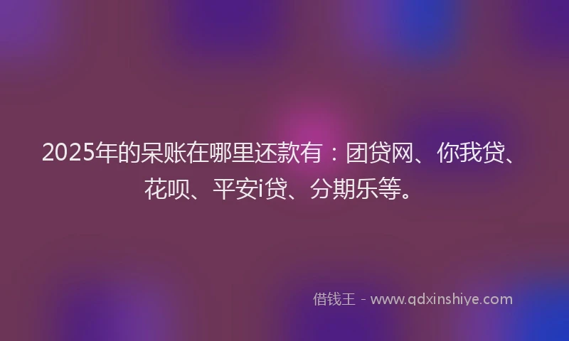 2025年的呆账在哪里还款有：团贷网、你我贷、花呗、平安i贷、分期乐等。