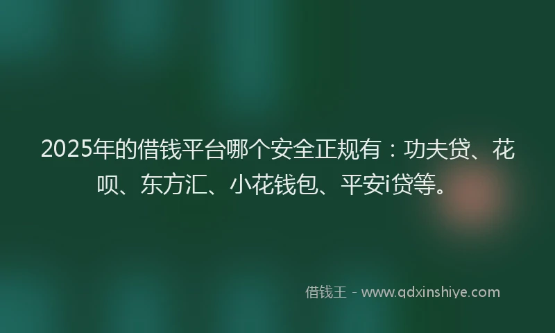 2025年的借钱平台哪个安全正规有：功夫贷、花呗、东方汇、小花钱包、平安i贷等。