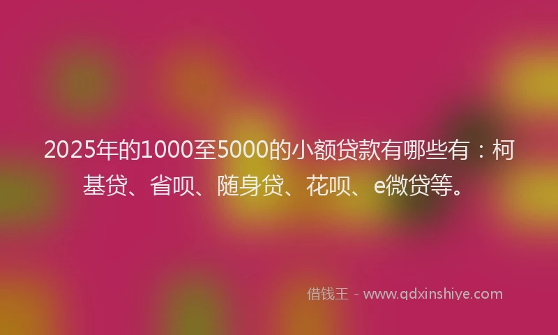 2025年的1000至5000的小额贷款有哪些有：柯基贷、省呗、随身贷、花呗、e微贷等。