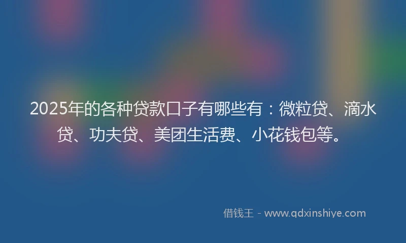 2025年的各种贷款口子有哪些有：微粒贷、滴水贷、功夫贷、美团生活费、小花钱包等。