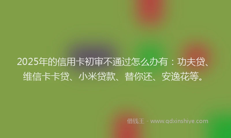 2025年的信用卡初审不通过怎么办有：功夫贷、维信卡卡贷、小米贷款、替你还、安逸花等。