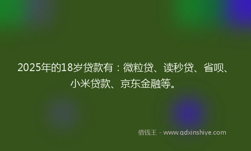 2025年的18岁贷款有：微粒贷、读秒贷、省呗、小米贷款、京东金融等。