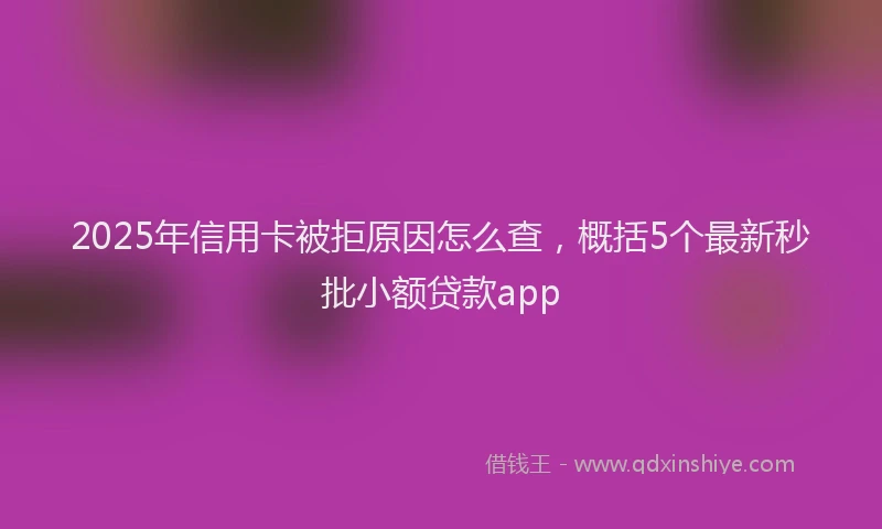 2025年信用卡被拒原因怎么查，概括5个最新秒批小额贷款app