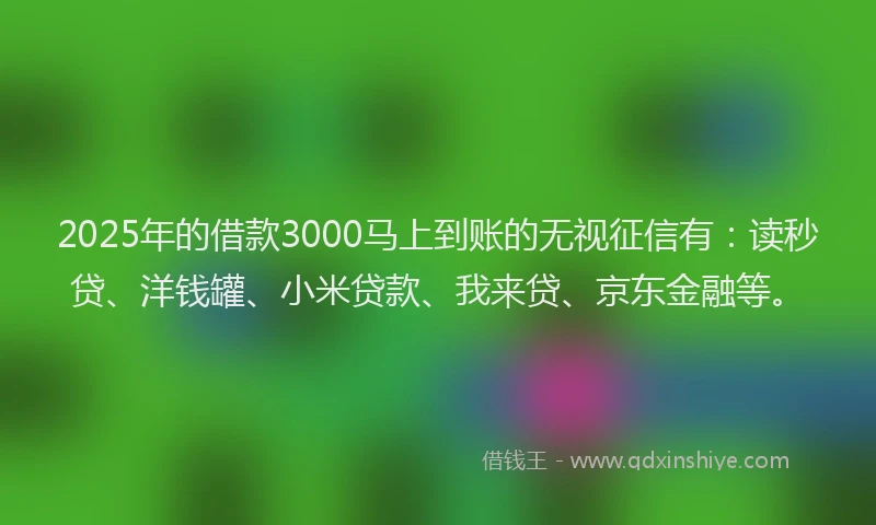 2025年的借款3000马上到账的无视征信有：读秒贷、洋钱罐、小米贷款、我来贷、京东金融等。