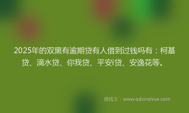 2025年的双黑有逾期贷有人借到过钱吗有：柯基贷、滴水贷、你我贷、平安i贷、安逸花等。