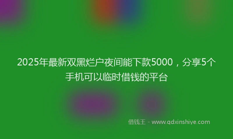 2025年最新双黑烂户夜间能下款5000，分享5个手机可以临时借钱的平台
