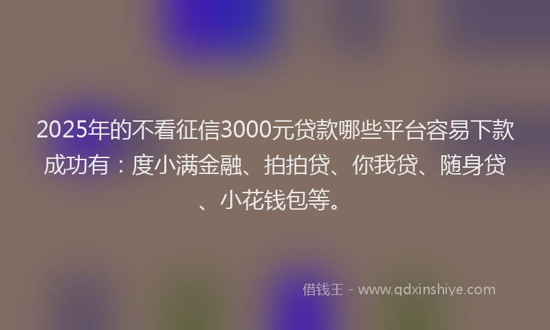 2025年的不看征信3000元贷款哪些平台容易下款成功有：度小满金融、拍拍贷、你我贷、随身贷、小花钱包等。