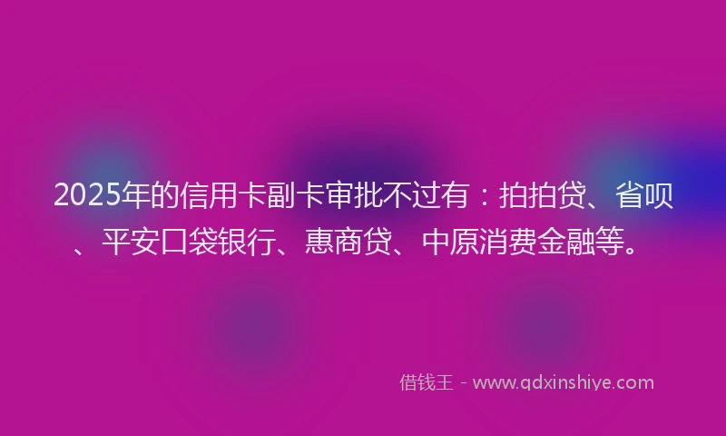2025年的信用卡副卡审批不过有：拍拍贷、省呗、平安口袋银行、惠商贷、中原消费金融等。