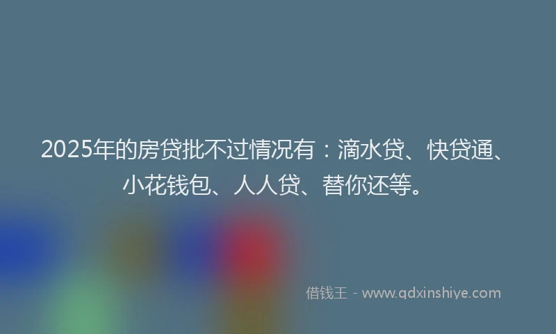 2025年的房贷批不过情况有：滴水贷、快贷通、小花钱包、人人贷、替你还等。