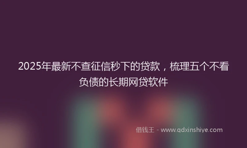 2025年最新不查征信秒下的贷款，梳理五个不看负债的长期网贷软件