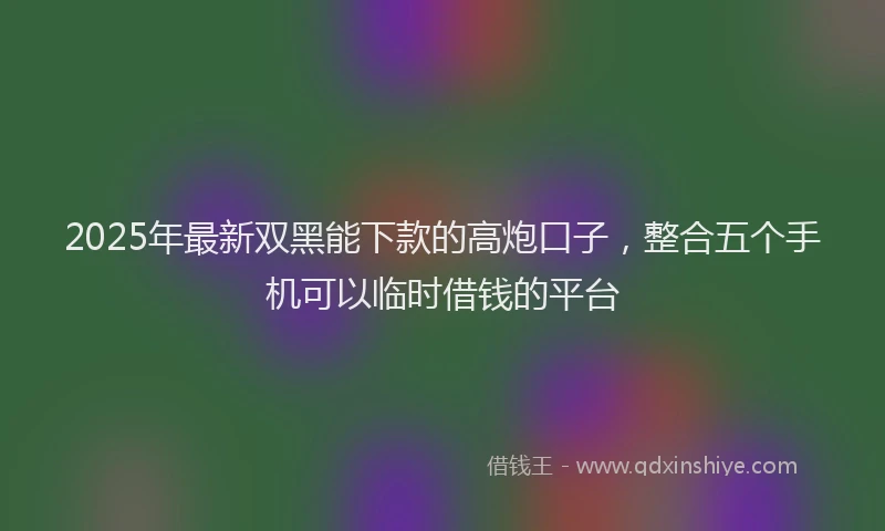 2025年最新双黑能下款的高炮口子，整合五个手机可以临时借钱的平台
