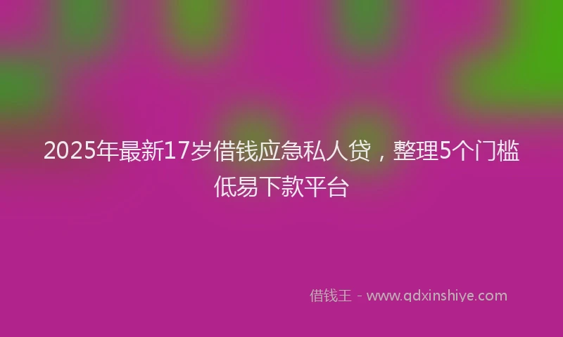2025年最新17岁借钱应急私人贷，整理5个门槛低易下款平台