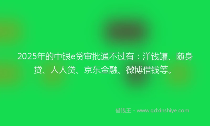 2025年的中银e贷审批通不过有：洋钱罐、随身贷、人人贷、京东金融、微博借钱等。
