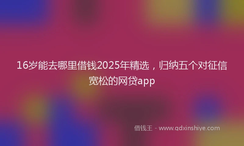 16岁能去哪里借钱2025年精选，归纳五个对征信宽松的网贷app