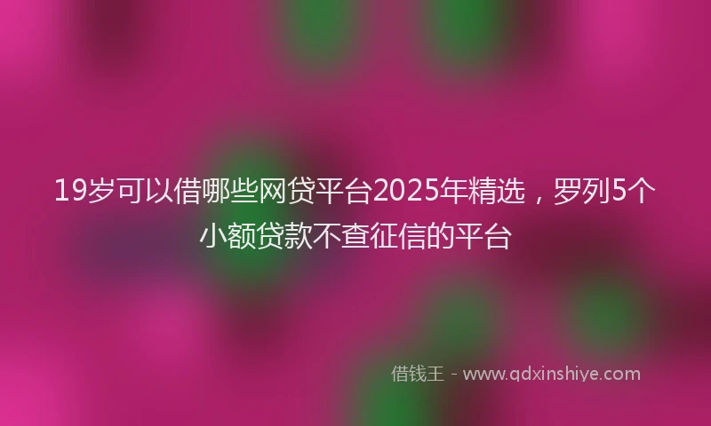 19岁可以借哪些网贷平台2025年精选，罗列5个小额贷款不查征信的平台
