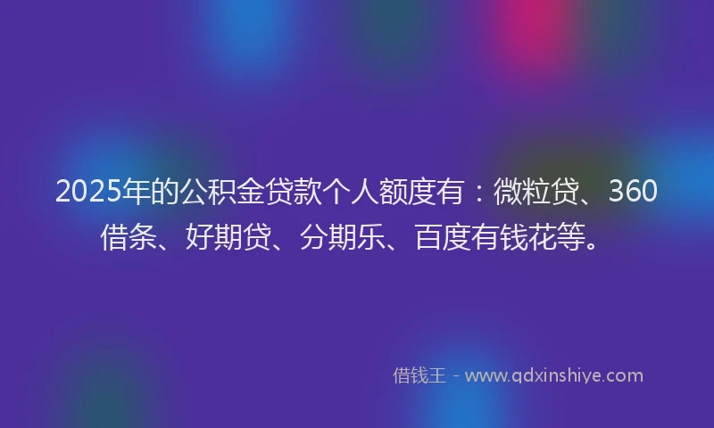 2025年的公积金贷款个人额度有：微粒贷、360借条、好期贷、分期乐、百度有钱花等。