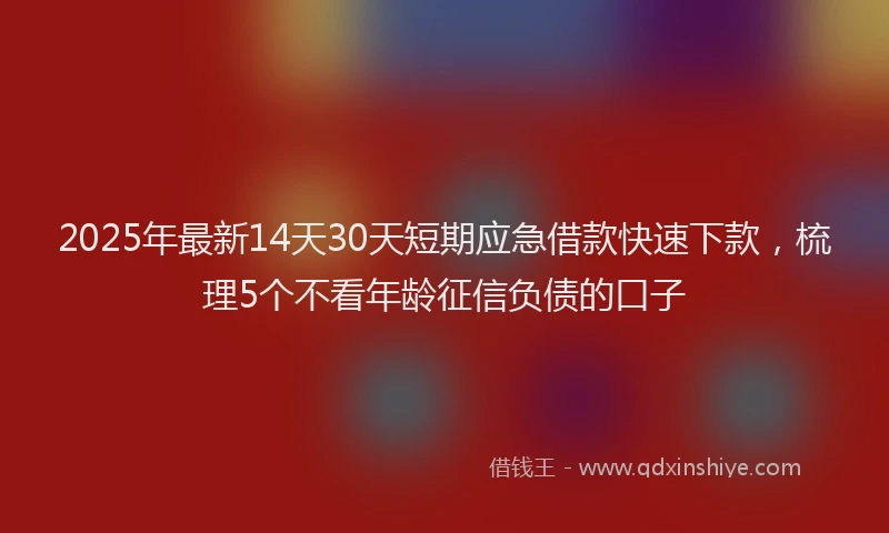 2025年最新14天30天短期应急借款快速下款，梳理5个不看年龄征信负债的口子