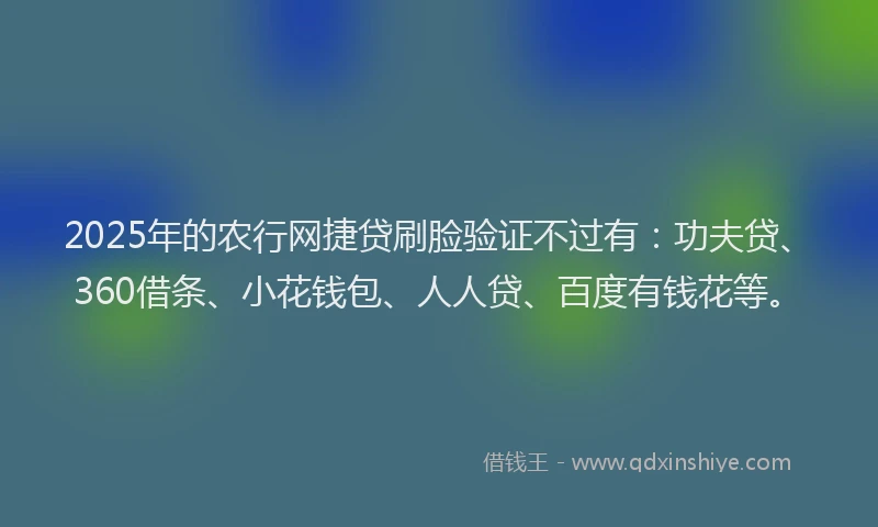 2025年的农行网捷贷刷脸验证不过有：功夫贷、360借条、小花钱包、人人贷、百度有钱花等。