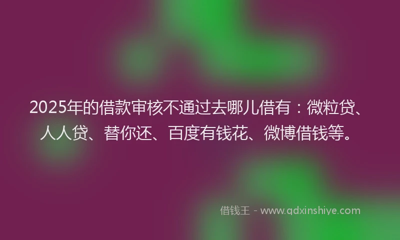 2025年的借款审核不通过去哪儿借有：微粒贷、人人贷、替你还、百度有钱花、微博借钱等。