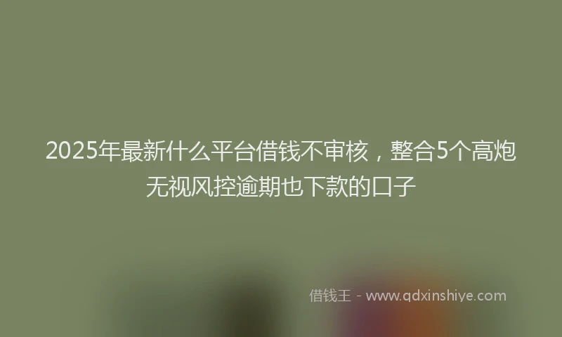 2025年最新什么平台借钱不审核，整合5个高炮无视风控逾期也下款的口子