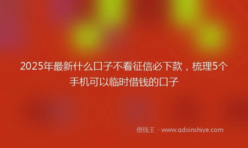 2025年最新什么口子不看征信必下款，梳理5个手机可以临时借钱的口子