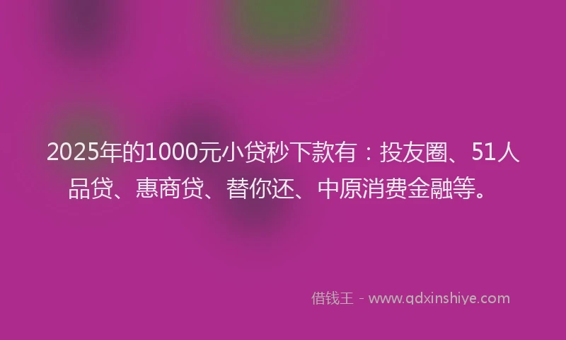 2025年的1000元小贷秒下款有：投友圈、51人品贷、惠商贷、替你还、中原消费金融等。