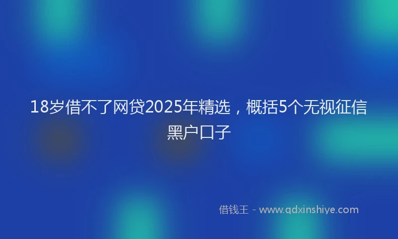 18岁借不了网贷2025年精选，概括5个无视征信黑户口子