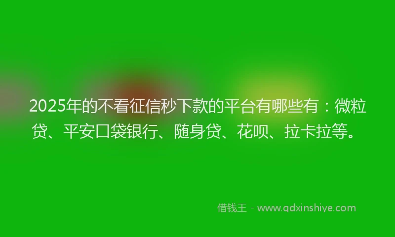 2025年的不看征信秒下款的平台有哪些有：微粒贷、平安口袋银行、随身贷、花呗、拉卡拉等。