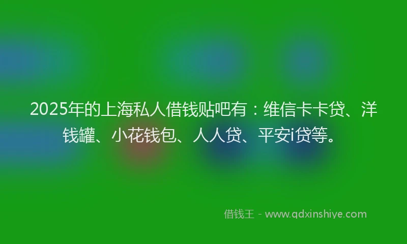 2025年的上海私人借钱贴吧有：维信卡卡贷、洋钱罐、小花钱包、人人贷、平安i贷等。