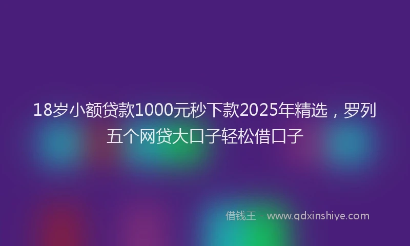 18岁小额贷款1000元秒下款2025年精选，罗列五个网贷大口子轻松借口子