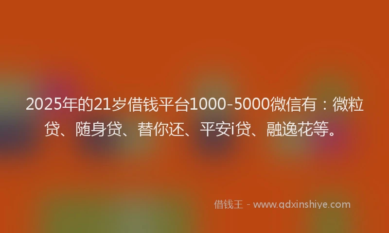 2025年的21岁借钱平台1000-5000微信有：微粒贷、随身贷、替你还、平安i贷、融逸花等。