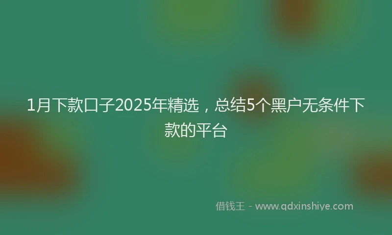 1月下款口子2025年精选，总结5个黑户无条件下款的平台