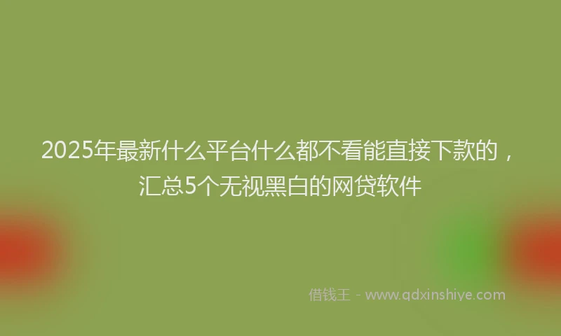 2025年最新什么平台什么都不看能直接下款的，汇总5个无视黑白的网贷软件