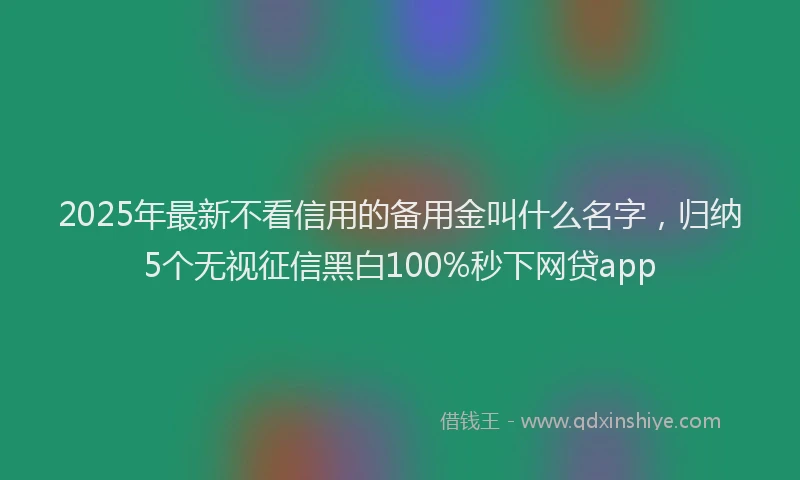 2025年最新不看信用的备用金叫什么名字，归纳5个无视征信黑白100%秒下网贷app