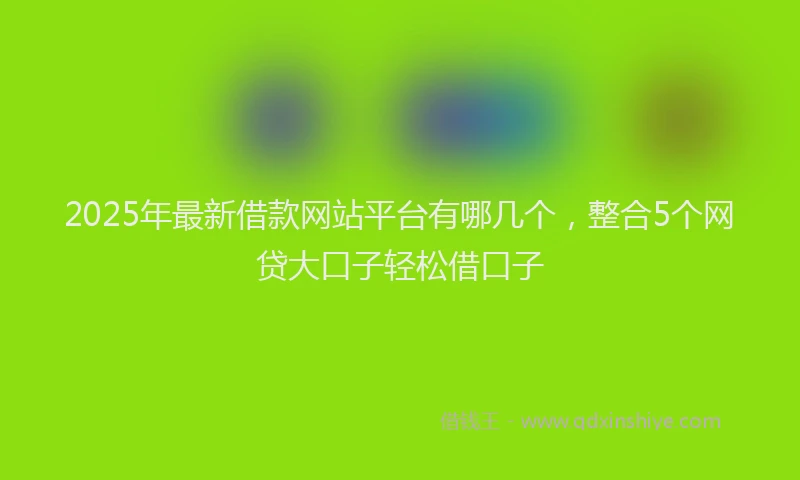 2025年最新借款网站平台有哪几个，整合5个网贷大口子轻松借口子
