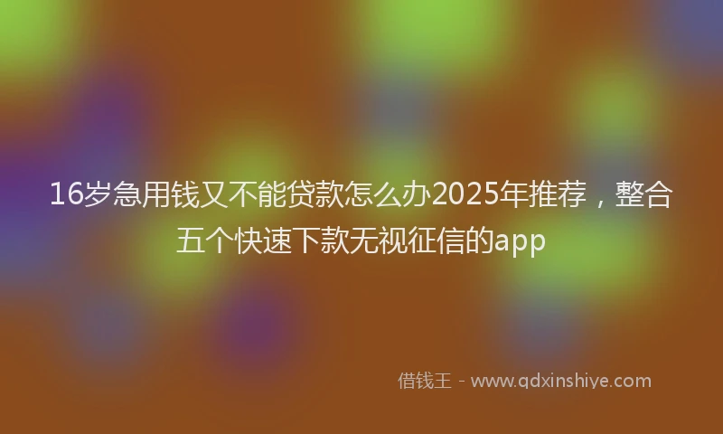 16岁急用钱又不能贷款怎么办2025年推荐，整合五个快速下款无视征信的app