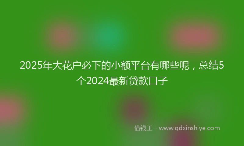 2025年大花户必下的小额平台有哪些呢，总结5个2024最新贷款口子