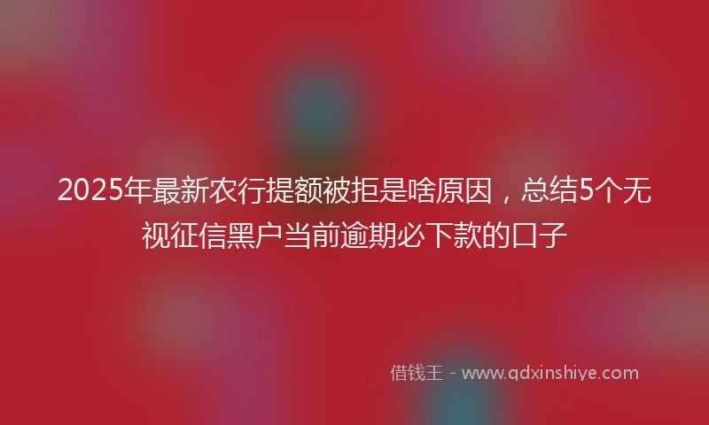 2025年最新农行提额被拒是啥原因，总结5个无视征信黑户当前逾期必下款的口子