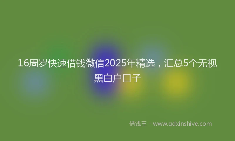 16周岁快速借钱微信2025年精选，汇总5个无视黑白户口子