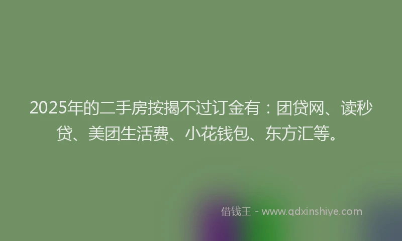 2025年的二手房按揭不过订金有：团贷网、读秒贷、美团生活费、小花钱包、东方汇等。