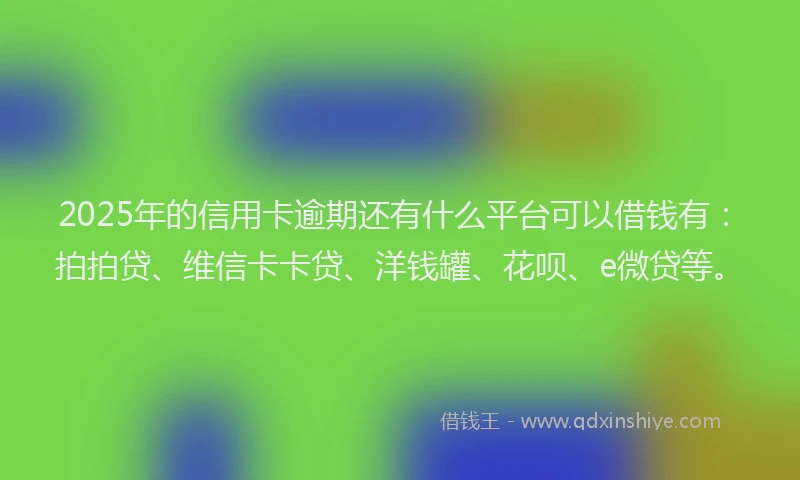 2025年的信用卡逾期还有什么平台可以借钱有：拍拍贷、维信卡卡贷、洋钱罐、花呗、e微贷等。