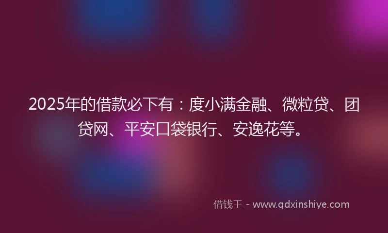 2025年的借款必下有：度小满金融、微粒贷、团贷网、平安口袋银行、安逸花等。