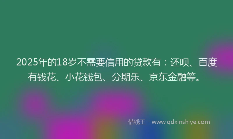 2025年的18岁不需要信用的贷款有：还呗、百度有钱花、小花钱包、分期乐、京东金融等。