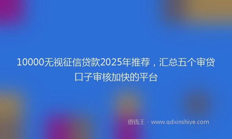 10000无视征信贷款2025年推荐，汇总五个审贷口子审核加快的平台